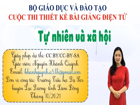 Bài giảng Tự nhiên và xã hội Lớp 2 - Tuần 10, Chủ đề: Cộng đồng và địa phương - Nguyễn Khánh Quỳnh