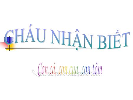 Bài giảng Mầm non Lớp Mầm - Nhận biết Con cá, con cua, con tôm