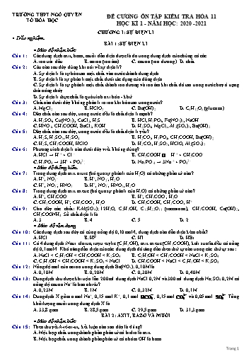Đề cương ôn tập kiểm tra Học kì I môn Hóa học Lớp 11 - Chương I: Sự điện li