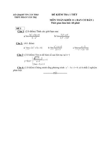 Đề kiểm tra 1 Tiết môn Toán Lớp 11 trường THPT Phan Văn Trị (Có đáp án)