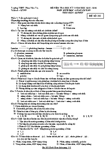 Đề kiểm tra Học kì I môn Sinh học Lớp 10 cơ bản năm học 2015- 2016 - Mã đề 202 (Kèm đáp án)