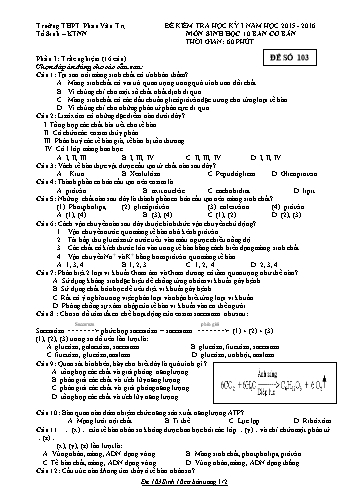 Đề kiểm tra Học kì I môn Sinh học Lớp 10 cơ bản năm học 2015- 2016 - Mã đề 103 (Kèm đáp án)