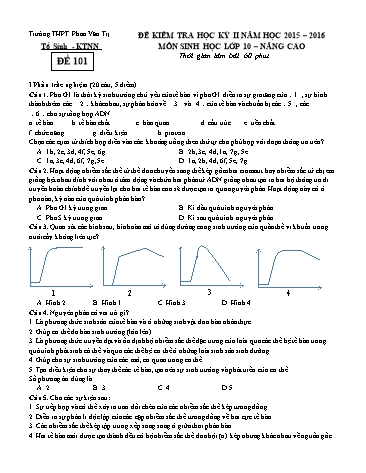 Đề kiểm tra Học kì II môn Sinh học Lớp 10 nâng cao năm học 2015- 2016 - Mã đề 101 (Kèm đáp án)
