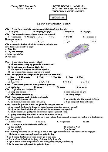 Đề thi Học kì II môn Sinh học Lớp 11 cơ bản năm học 2015- 2016 - Mã đề 232 (Kèm đáp án)