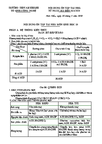 Nội dung ôn tập Sinh học Lớp 10 - Chủ đề: Hô hấp tế bào- Quang hợp- Phân bào