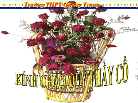 Bài giảng Hóa học Lớp 12 - Tiết 20: Amino axit - Trường THPT Quang Trung