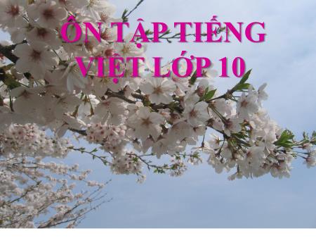Bài giảng Ngữ văn Lớp 10 - Ôn tập về Phong cách NN sinh hoạt và PCNN nghệ thuật - Trường THPT Quang Trung