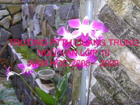 Bài giảng Ngữ văn Lớp 10 - Tiết 94: Lập luận trong văn nghị luận - Trường THPT Quang Trung