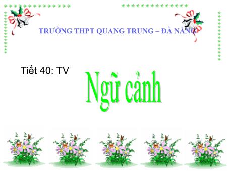 Bài giảng Ngữ văn Lớp 11 - Tiết 40, Tiếng Việt: Ngữ cảnh - Trường THPT Quang Trung