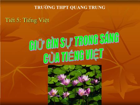 Bài giảng Ngữ văn Lớp 12 - Tiết 5, Tiếng Việt: Giữ gìn sự trong sạch của tiếng Việt - Trường THPT Quang Trung