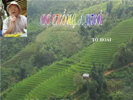 Bài giảng Ngữ văn Lớp 12 - Tuần 20: Vợ chồng A Phủ (Tô Hoài)