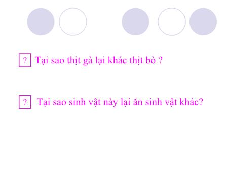 Bài giảng Sinh học Lớp 10 - Bài 5: Protein