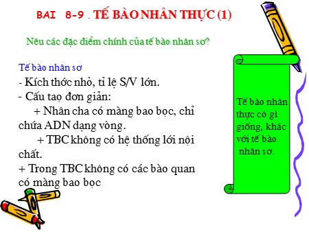 Bài giảng Sinh học Lớp 10 - Bài 8, 9: Tế bào nhân thực (Tiết 1)