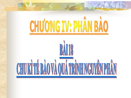 Bài giảng Sinh học Lớp 10 - Tiết 20, Bài 18: Chu kì tế bào và quá trình nguyên phân