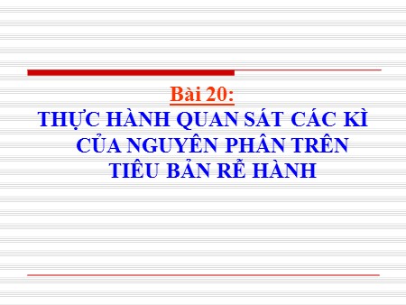 Bài giảng Sinh học Lớp 10 - Tiết 22, Bài 20: Thực hành quan sát các kì của nguyên phân trên tiêu bản rễ hành