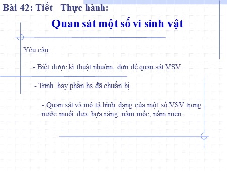 Bài giảng Sinh học Lớp 10 - Tiết 28, Bài 40: Thực hành Quan sát một số vi sinh vật