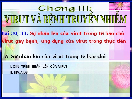 Bài giảng Sinh học Lớp 10 - Tiết 32, Bài 30+31: Sự nhân lên của virut trong tế bào chủ Virut gây bệnh, ứng dụng của virut trong thực tiễn