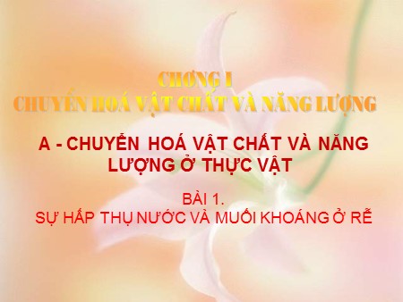 Bài giảng Sinh học Lớp 11 - Bài 1: Sự hấp thụ nước và muối khoáng ở rễ