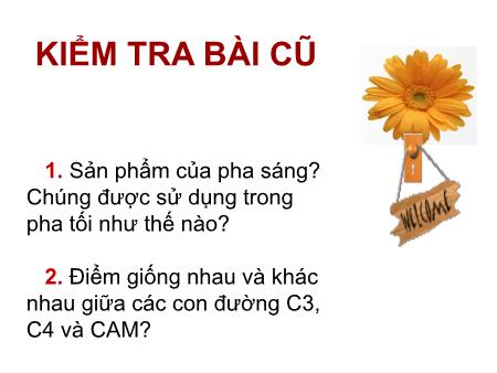 Bài giảng Sinh học Lớp 11 - Bài 10: Ảnh hưởng của các nhân tố ngoại cảnh đến quang hợp