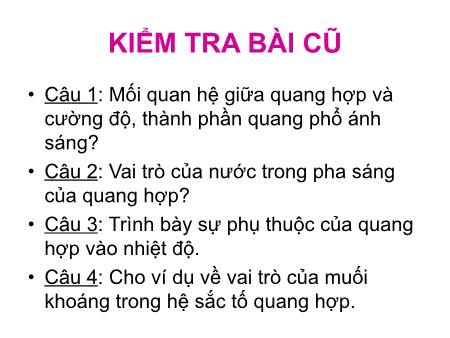 Bài giảng Sinh học Lớp 11 - Bài 11: Quang hợp và năng suất cây trồng