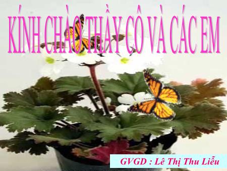 Bài giảng Sinh học Lớp 11 - Bài 17: hô hấp ở động vật - Lê Thị Thu Liễu