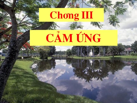 Bài giảng Sinh học Lớp 11 - Bài 23: Hướng động (Tiết 2)