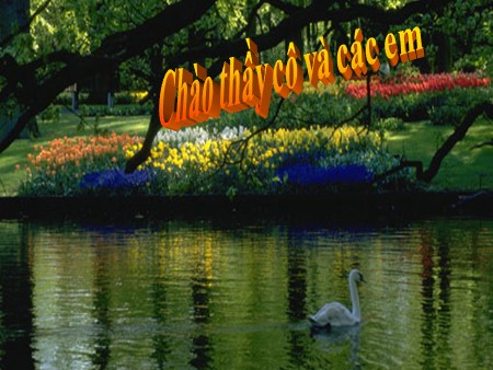 Bài giảng Sinh học Lớp 11 - Bài 24: Ứng động - Trường THPT Lương Thế Vinh