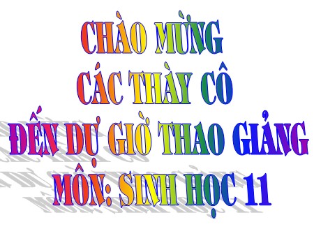 Bài giảng Sinh học Lớp 11 - Bài 26: Cảm ứng ở động vật