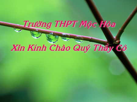 Bài giảng Sinh học Lớp 11 - Bài 3: Sự thoát hơi nước - Trường THPT Mộc Hóa
