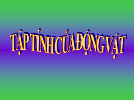 Bài giảng Sinh học Lớp 11 - Bài 31: Tập tính của động vật