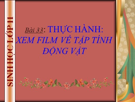 Bài giảng Sinh học Lớp 11 - Bài 33: Thực hành Xem film về tập tính động vật
