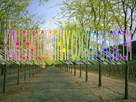 Bài giảng Sinh học Lớp 11 - Tiết 24, Bài 24: Ứng động