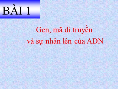 Bài giảng Sinh học Lớp 12 - Bài 1: Gen, mã di truyền và sự nhân lên của ADN