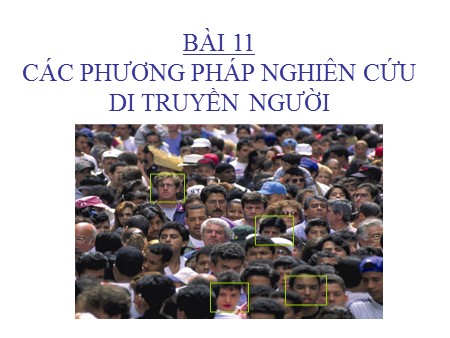 Bài giảng Sinh học Lớp 12 - Bài 11: Các phương pháp nghiên cứu di truyền người