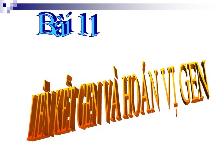 Bài giảng Sinh học Lớp 12 - Bài 11: Liên kết Gen và hoán vị Gen