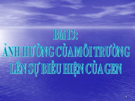 Bài giảng Sinh học Lớp 12 - Bài 13: Ảnh hưởng của môi trường lên sự biểu hiện của Gen