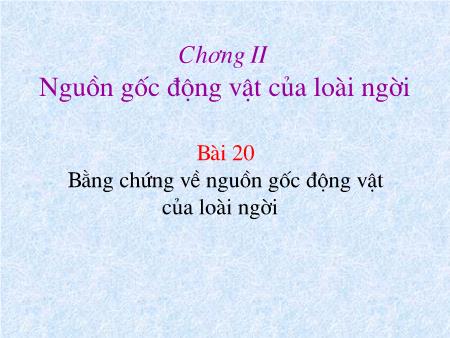 Bài giảng Sinh học Lớp 12 - Bài 20: Bằng chứng về nguồn gốc động vật của loài người