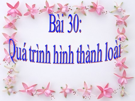 Bài giảng Sinh học Lớp 12 - Bài 30: Quá trình hình thành loài