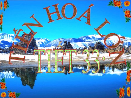 Bài giảng Sinh học Lớp 12 - Bài 31: Tiến hóa lớn