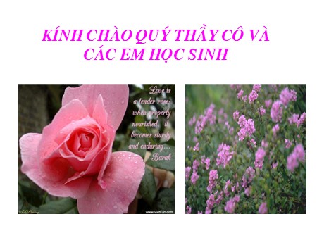 Bài giảng Sinh học Lớp 12 - Bài 41: Diễn thế sinh thái