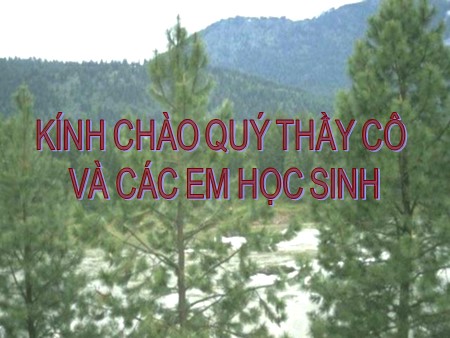 Bài giảng Sinh học Lớp 12 - Bài 44: Chu trình sinh địa hóa