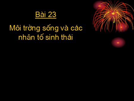 Bài giảng Sinh học Lớp 8 - Bài 23: Môi trường sống và các nhân tố sinh thái