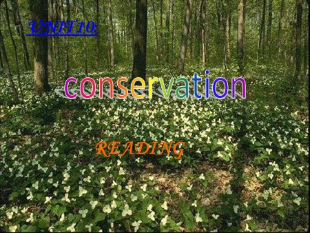Bài giảng Tiếng Anh Khối 10 - Unit 10: Conservation (Reading)
