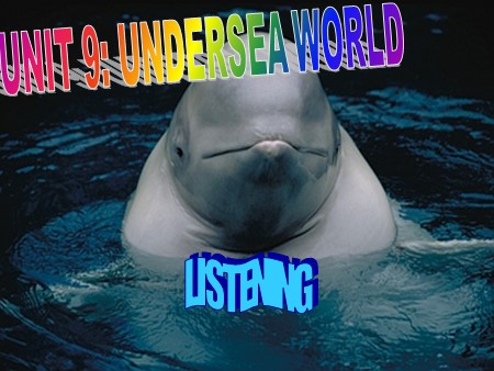 Bài giảng Tiếng Anh Lớp 10 - Tiết 56, Unit 9: Undersea world (Listening)