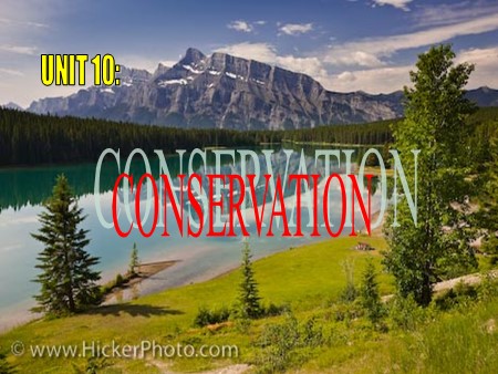 Bài giảng Tiếng Anh Lớp 10 - Tiết 61, Unit 10: Conservation