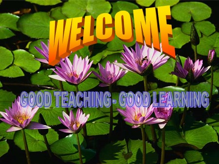 Bài giảng Tiếng Anh Lớp 10 - Tiết 65, Unit 11: National parks (Reading Comprehension)