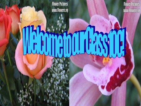 Bài giảng Tiếng Anh Lớp 10 - Tiết 90, Unit 15: Cities (Speaking)