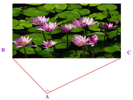 Bài giảng Toán Lớp 10 - Các hệ thức lượng trong tam giác - Trường THPT Quang Trung