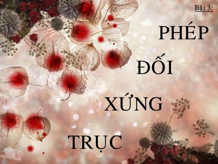 Bài giảng Toán Lớp 11 - Bài 3: Phép đối xứng trục
