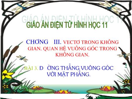 Bài giảng Toán Lớp 11 - Chương III, Bài 3: Đường thẳng vuông góc với mặt phẳng - Trường THPT Quang Trung